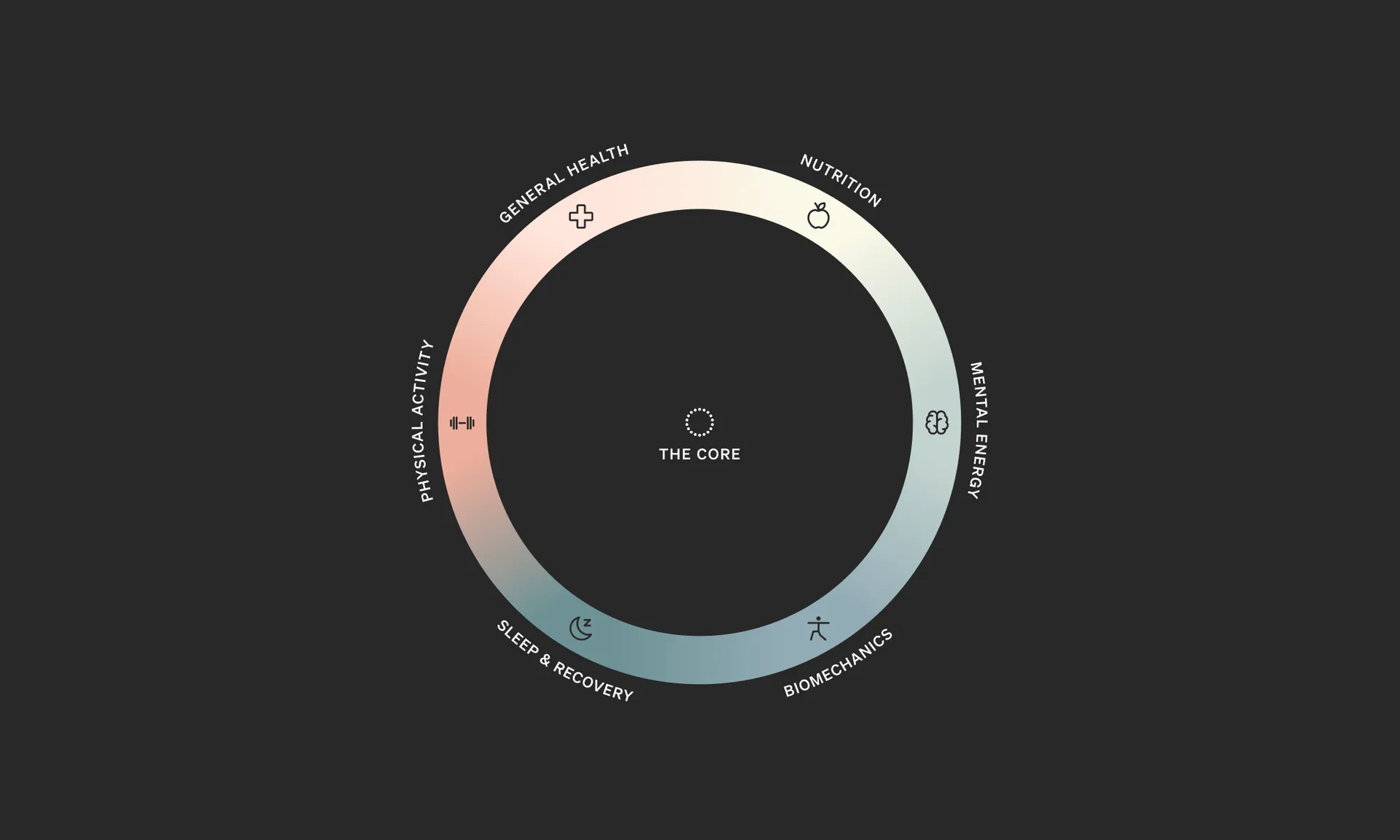 Hintsa Core Animation 2200x1320 1